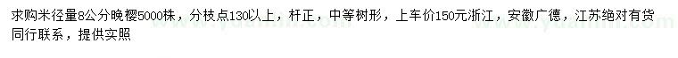 求購米徑量8公分晚櫻