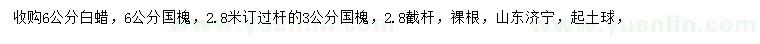 求購(gòu)6公分白蠟、3、6公分國(guó)槐