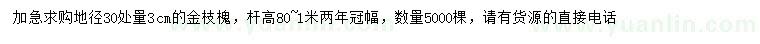 求購地徑30公分量3公分金枝槐