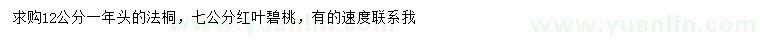 求購12公分法桐、7公分紅葉碧桃