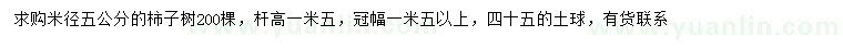 求購(gòu)米徑5公分柿子樹(shù)