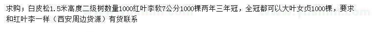 求購白皮松、紅葉李、大葉女貞