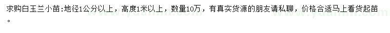 求購地徑1公分以上白玉蘭小苗