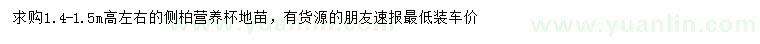 求購(gòu)高1.4-1.5米左右側(cè)柏