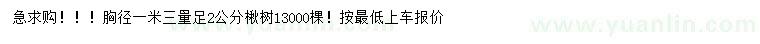 求購(gòu)胸徑1.3米量足2公分楸樹(shù)
