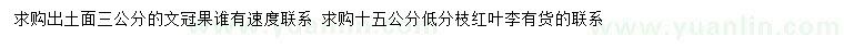 求購(gòu)3公分文冠果、15公分紅葉李