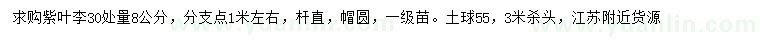 求購(gòu)30公分量8公分紫葉李