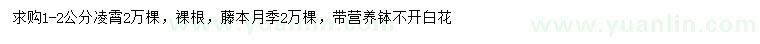 求購1-2公分凌霄、藤本月季