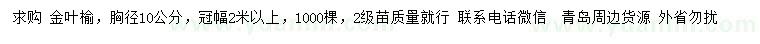 求購胸徑10公分金葉榆