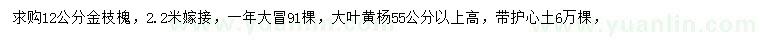 求購12公分金枝槐、高55公分以上大葉黃楊