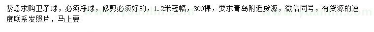 求購冠幅1.2米衛(wèi)矛球