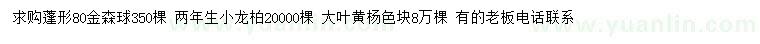 求購金森球、小龍柏、大葉黃楊