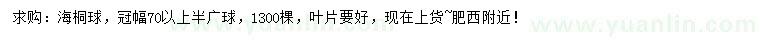 求購冠幅70公分以上海桐球