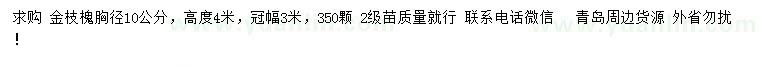 求購(gòu)胸徑10公分金枝槐