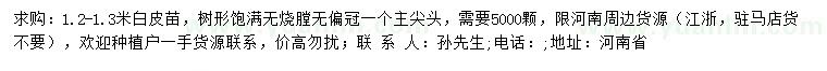 求購1.2-1.3米白皮苗