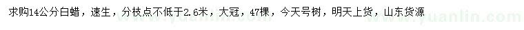 求購14公分速生白蠟