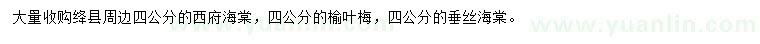 求購(gòu)西府海棠、榆葉梅、垂絲海棠
