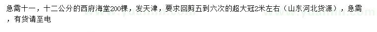 求購(gòu)11、12公分西府海棠