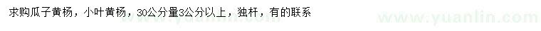 求購30公分量3公分以上瓜子黃楊、小葉黃楊