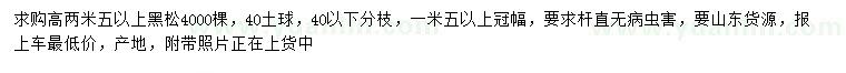 求購高2.5米以上黑松