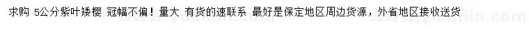 求購5公分紫葉矮櫻