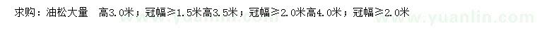 求購高3、3.5、4米油松