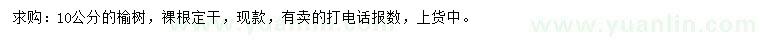 求購(gòu)10公分榆樹(shù)