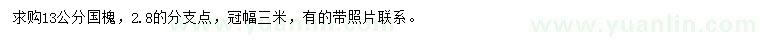 求購(gòu)13公分國(guó)槐