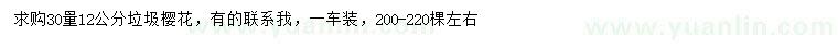 求購30量12公分垃圾櫻花
