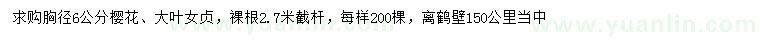 求購胸徑6公分櫻花、大葉女貞