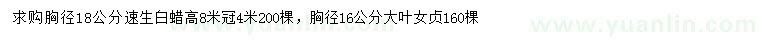 求購胸徑18公分速生白蠟、胸徑16公分大葉女貞