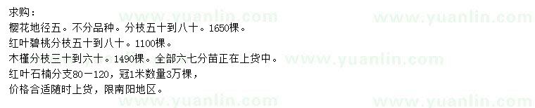 求購櫻花、紅葉碧桃、木槿等