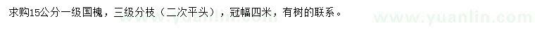 求購15公分國槐