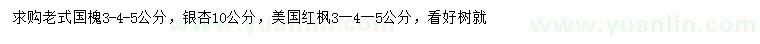 求購老式國槐、銀杏、美國紅楓
