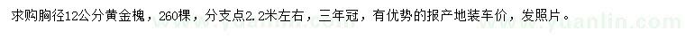 求購胸徑12公分黃金槐