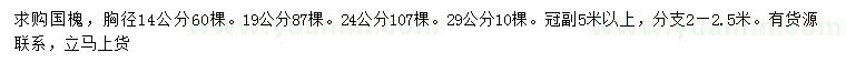 求購胸徑14、19、24、29公分國槐