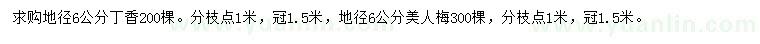 求購(gòu)地徑6公分丁香、美人梅