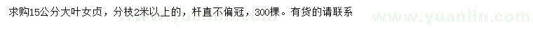 求購15公分大葉女貞