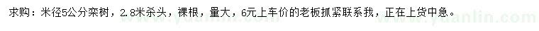 求購米徑5公分欒樹