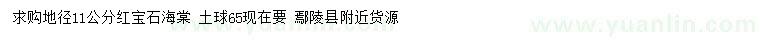 求購地徑11公分紅寶石海棠