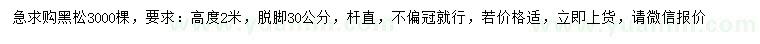 求購高2米黑松