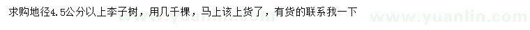 求購地徑4.5公分以上李子樹