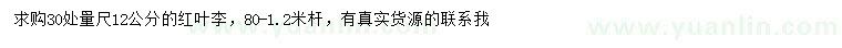 求購30處量尺12公分紅葉李