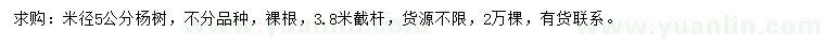 求購米徑5公分楊樹