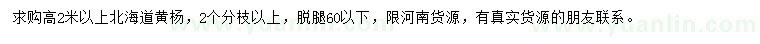 求購(gòu)高2米以上北海道黃楊