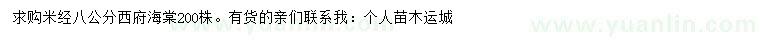 求購米徑8公分西府海棠