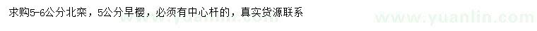 求購(gòu)5-6公分北欒、5公分早櫻
