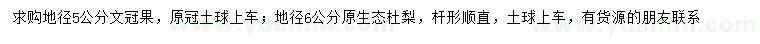 求購(gòu)地徑5公分文冠果、地徑6公分杜梨