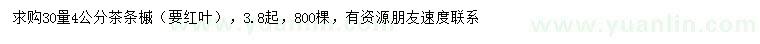 求購(gòu)30量4公分茶條槭