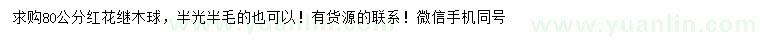 求購80公分紅花繼木球